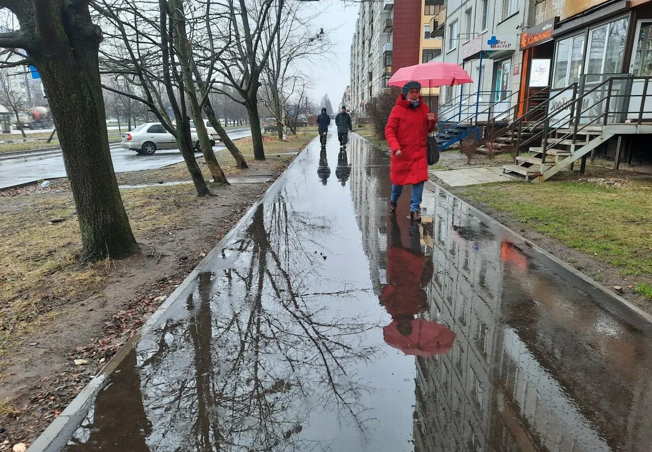 Дождливый день. Дождевые дожди. Дождь в апреле. Потепление.