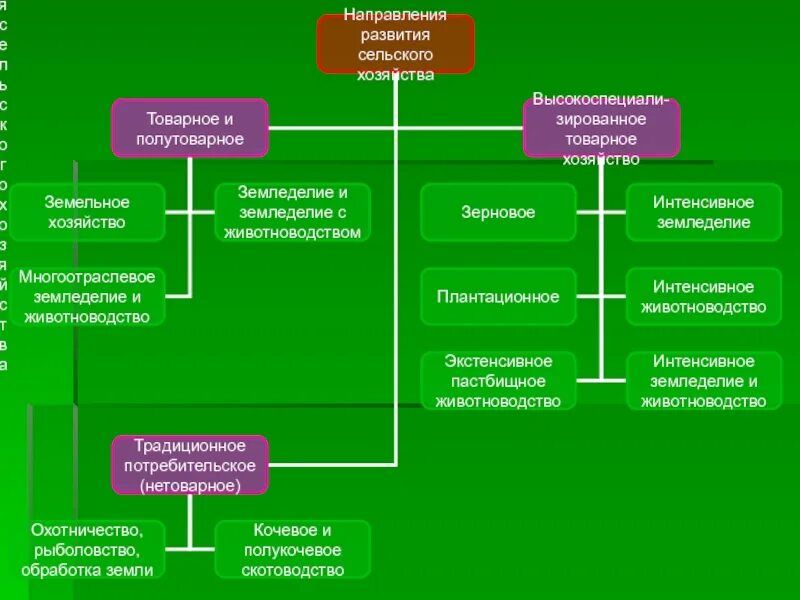 Направления сельского хозяйства. Направления развития сельского хозяйства. Основные направления сельского хозяйства. Сельское хозяйство направленность.