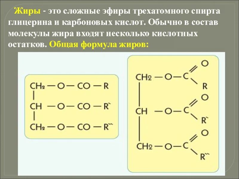 Общее название жиров. Формула жиров в химии. Общая формула жиров. Молекула жира формула. Жиры формула химическая.