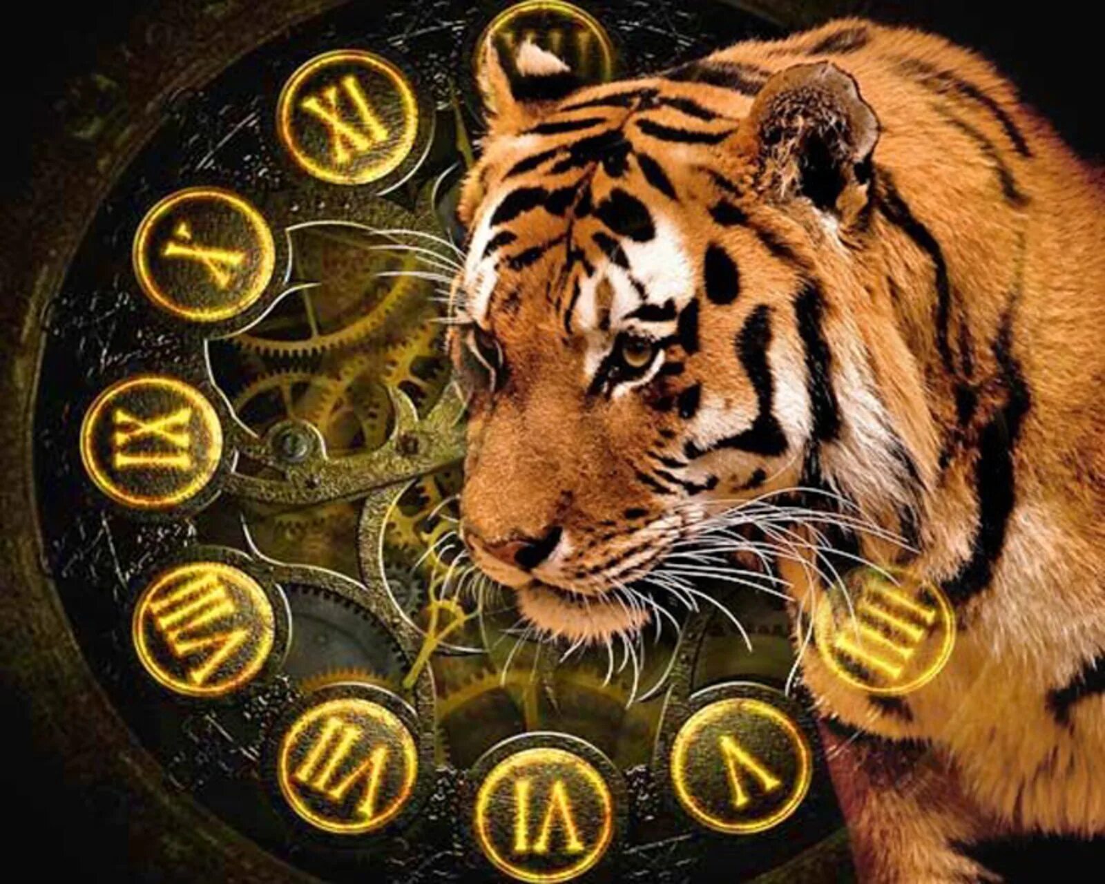 Тигр 2022 год. Год тигра. Новый год 2022 год тигра. Тигр Зодиак. Тигр какой гороскоп