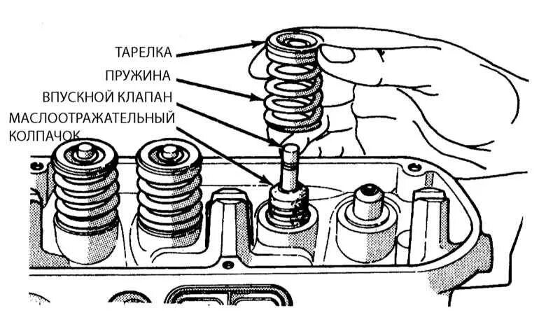 Маслосъемные колпачки КАМАЗ 740. Маслосъемные колпачки на ГАЗ 3110. Сальники клапанов впускные джип Гранд Чероки 4.0. Маслосъемные колпачки на схеме Мазда 1,6 2007.