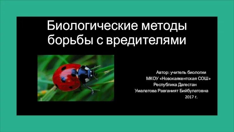 Перепончатокрылые наездники. Биологические методы борьбы с насекомыми вредителями. Изучаем насекомых. Биологический способ борьбы с насекомыми. Биологический метод борьбы с вредителями.