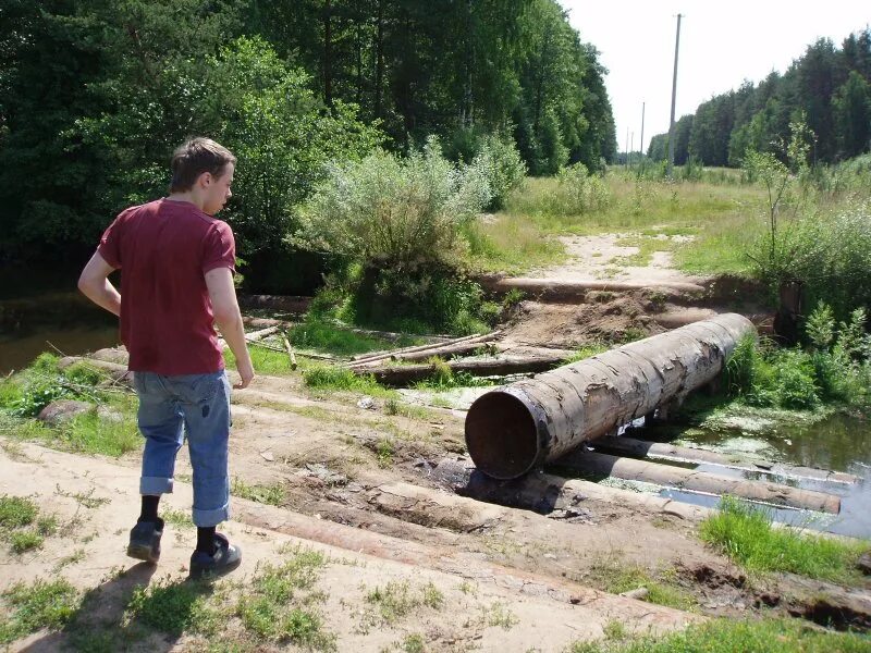 Краснопахорское поселение Подосинки. Подосинки (посёлок, Дмитровский городской округ). Подосинки Демидовский район. Подосинки 2003 год. Погода в подосинках