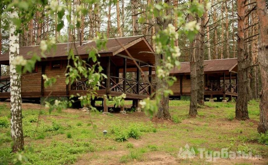 Турбаза русский берег старая майна. Экопарк русский берег ульяновск. Турбаза русский берег. Турбаза русский берег ульяновск. Турбаза русский берег ульяновск.