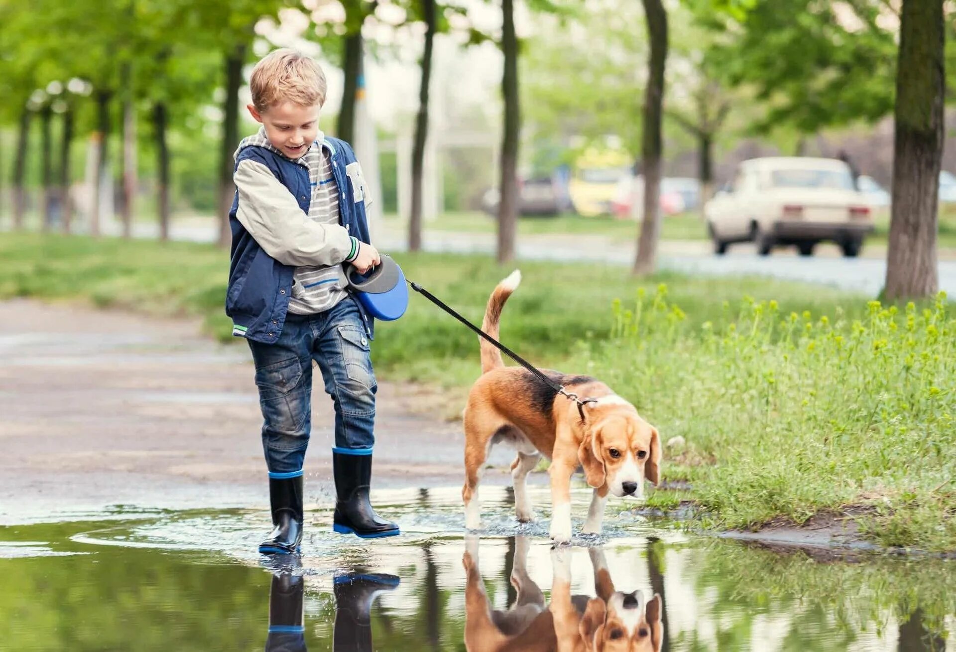 Walking pet. Прогулка с собакой. Ребенок гуляет с собакой. Выгуливать собаку. Человек гуляет с собакой.