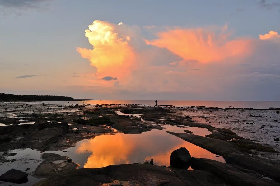 берег онега белое море. республика карелия белое море. беломорск белое море. колежма белое море. беломорск набережная белого моря.