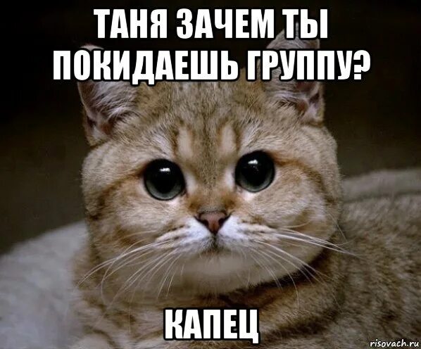 Зачем таня