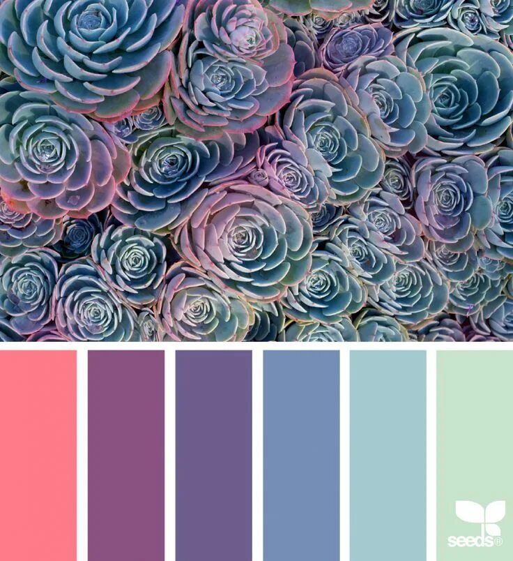 Цветовая гамма 5 цветов Pin by Lori Hawley-Jones on Peace Orange color palettes, Color schemes colour pa
