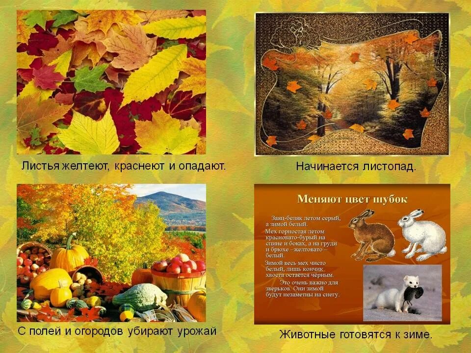 Приметы осени связаны со всем. Приметы ноября для детей. Осенние приметы картинки. Приметы осени связаны со всем. Приметы осени связаны со всем.