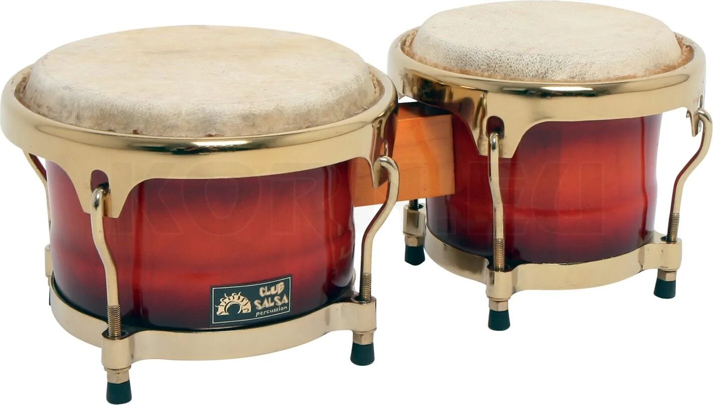 Что такое бонго. Барабан Бонго Phil Pro. Бонги инструмент. Bongo Drums. Испанское Бонго.