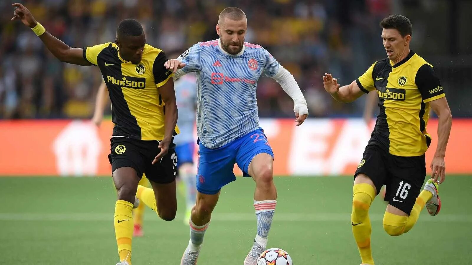 Ивердон янг бойз. Швейцария: чемпион — «янг бойз». fabian rieder young boys.