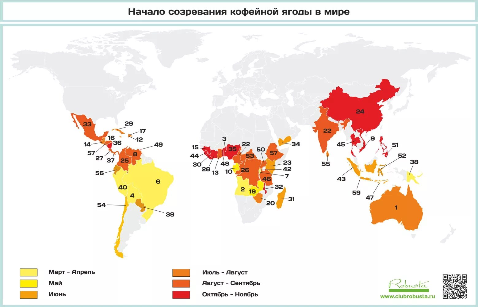 Лидеры по производству кофе. Карта производства кофе. Карта распространения кофе. Карта выращивания кофе. Страны производители чая.