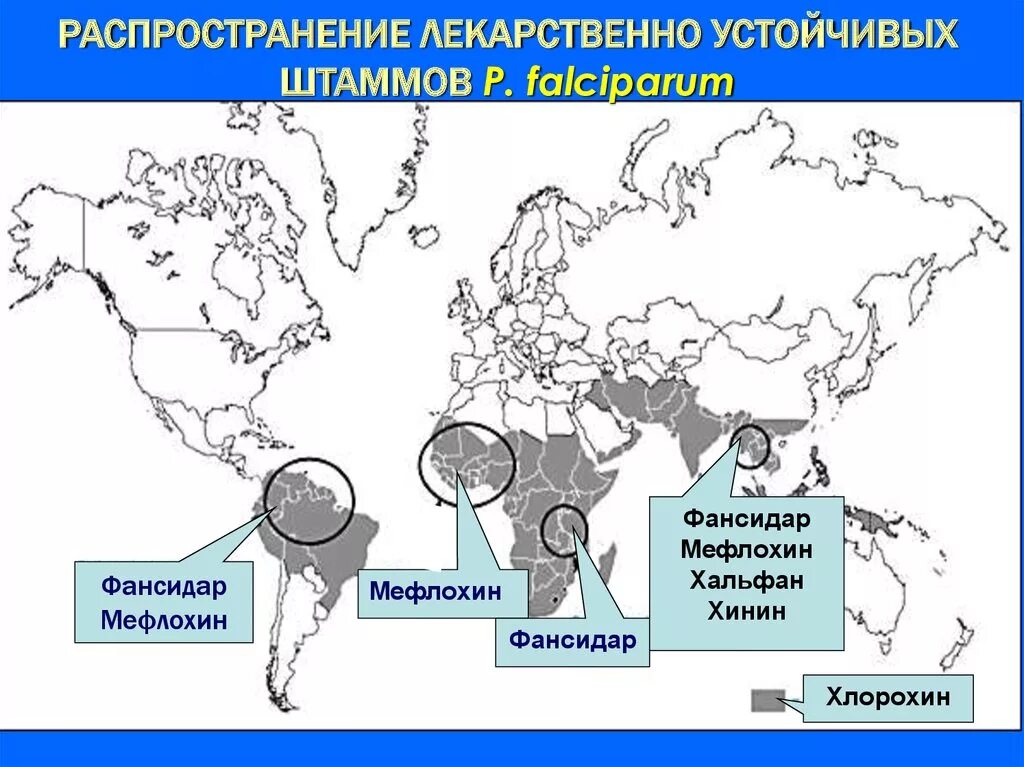 Распространение малярии. Распространение малярийного плазмодия на карте. Малярийный плазмодий распространение. Малярийный плазмодий ареал. Малярийный плазмодий географическое распространение.