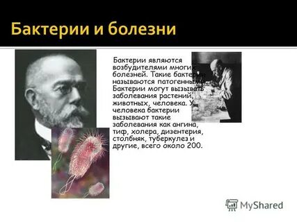 Бактерии являются возбудителями
