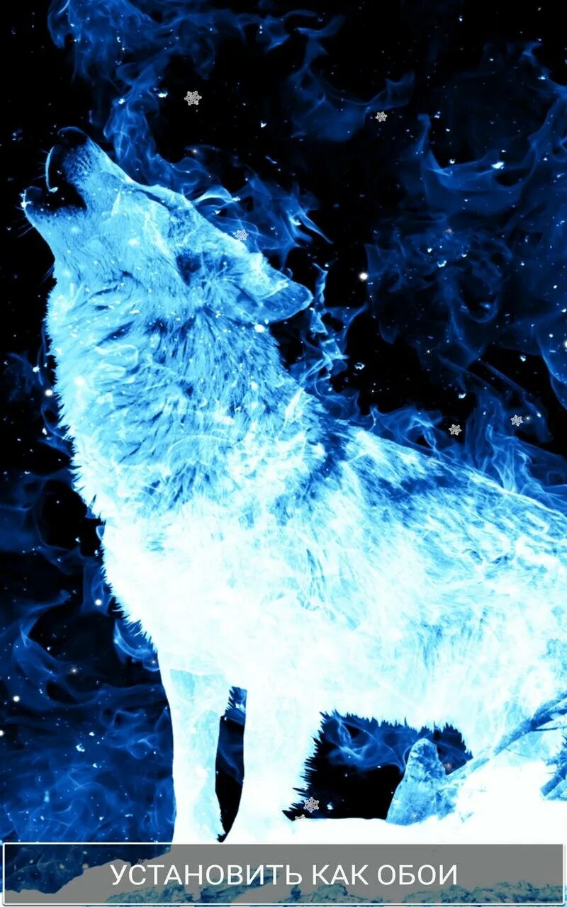 Синий волк. Голубой волк. Ледяные волки. Ледяной огонь. Ледяной волк арт.