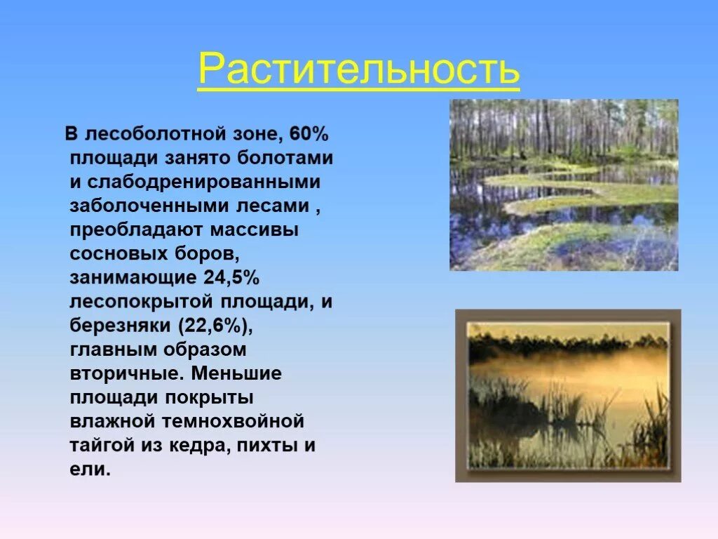 Природа западной сибири 9 класс география