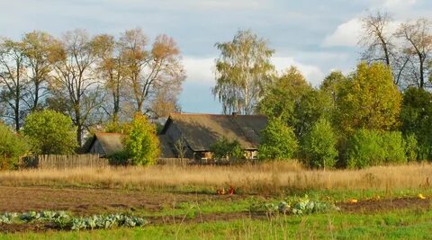Панорама деревенского двора