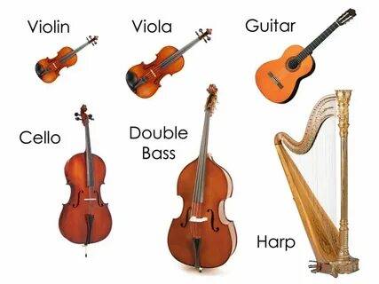 String instruments