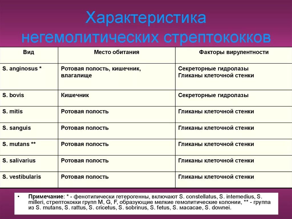 Гемолитический латынь. Характеристика видов стрептококков. Стрептококки виды классификация. Стрептококки характеристика. Характеристика стрептококков.