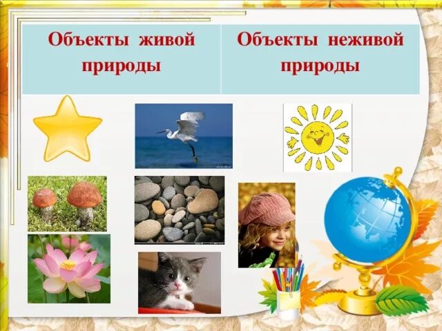 Россия живая неживая природа. Объекты неживой природы. Объекты не жвиой природы. Объекты неживой природы объекты живой природы. Предметы неживой природы.