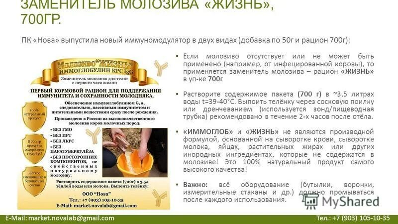 молозиво коровье польза и вред