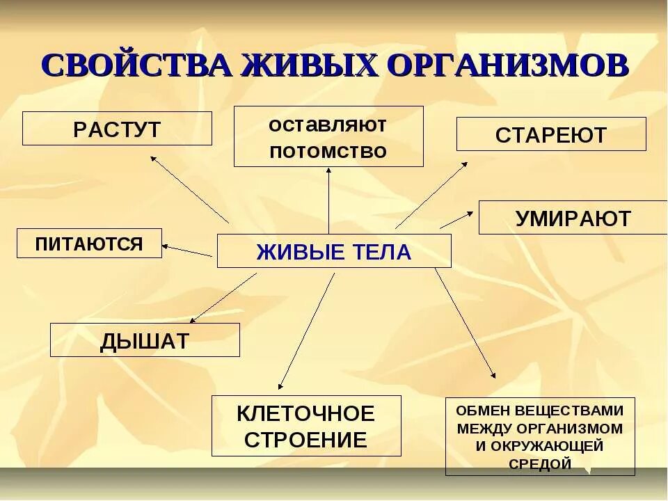 Объясните свойства живых организмов. Перечисли основные свойства живых организмов. Общие свойства живых организмов 9 класс. 2. Перечислите свойства живых организмов.. Свойства живых оргонизм.