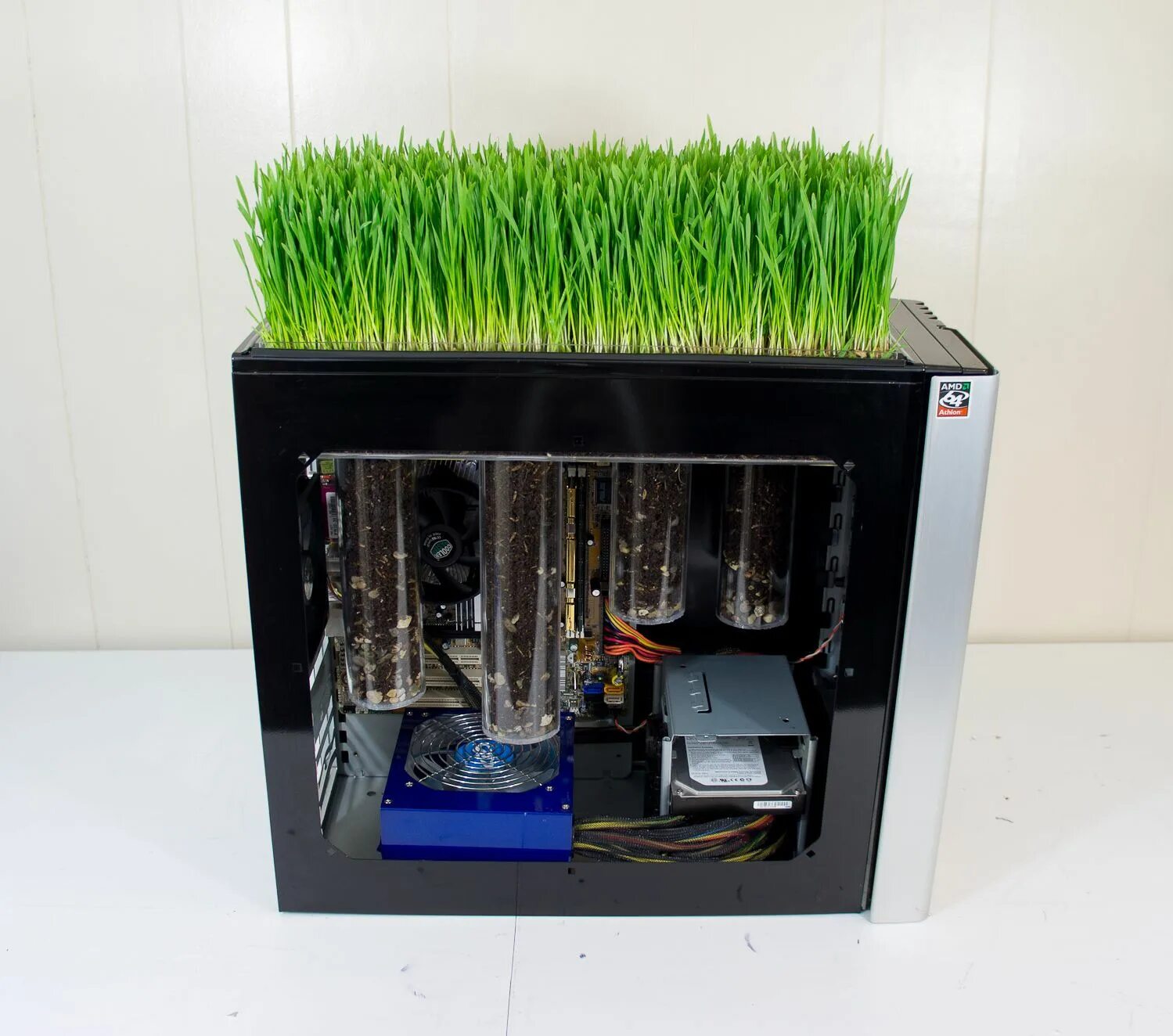 Биокомпьютер шапиро. Органический компьютер. Биокомпьютер. Биологический компьютер. Органический компьютер.