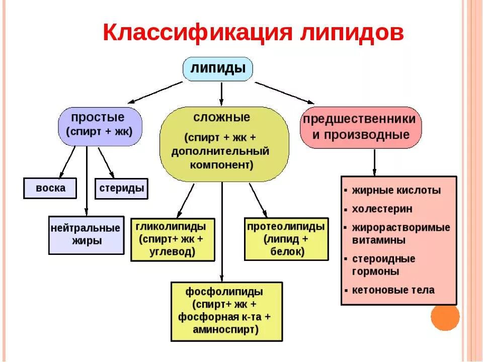 Липиды выполняющие строительную функцию. Липиды классификация липидов. Классификацию и функции липидов в организме.. Классификация липидов простые и сложные липиды. Функции простых и сложных липидов.