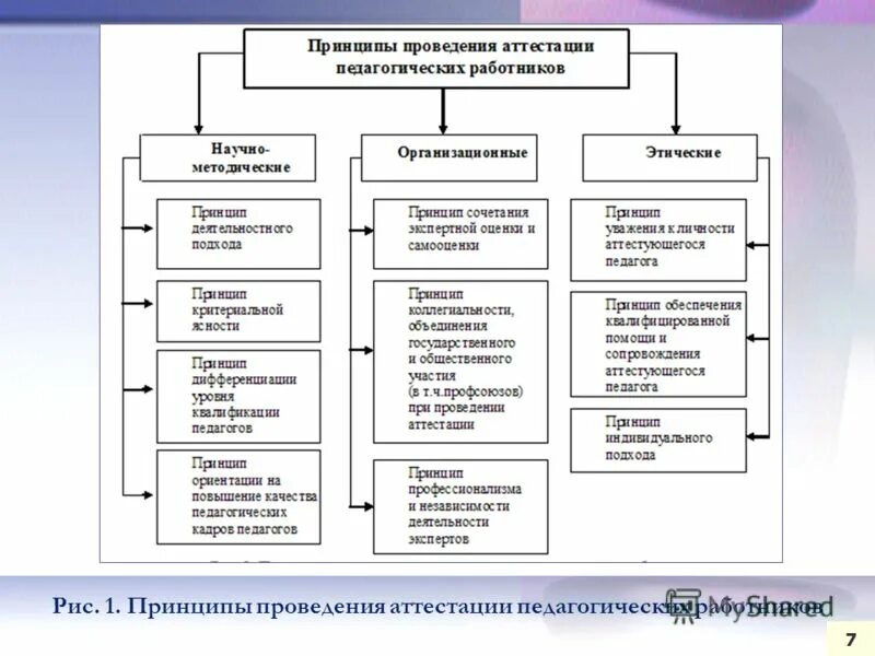 Принципы аттестации педагогических работников. Цели и задачи аттестации педагогических работников. Основные принципы аттестации. Этапы проведения аттестации. Порядок проведения аттестации педагогов.