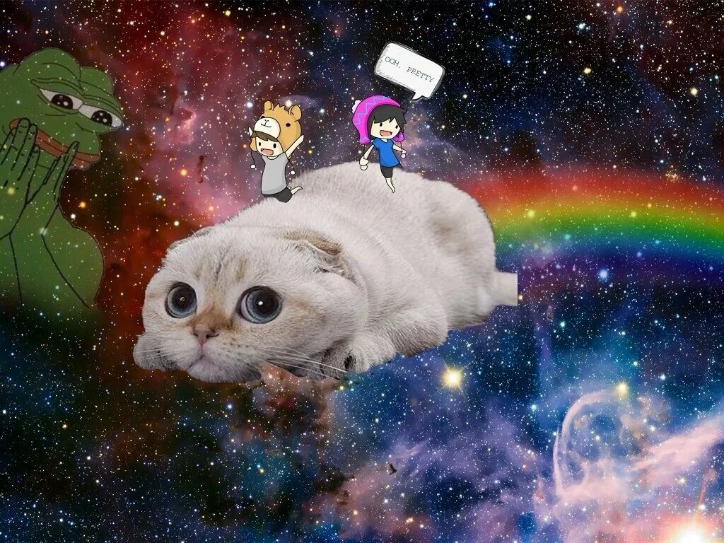 Веселое про космос. Кот в космосе. Котейка в космосе. Космическая кошка. Забавный космос.