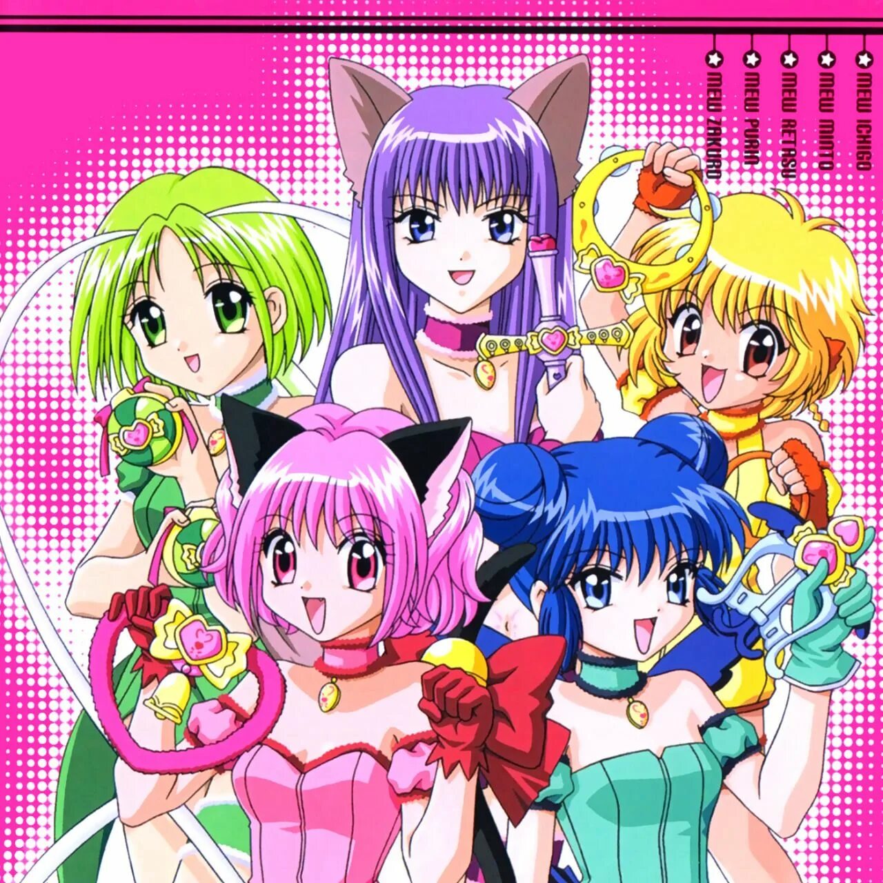 Трек из мяу мяу. Токийские кошечки. Токийские кошечки Tokyo Mew Mew.