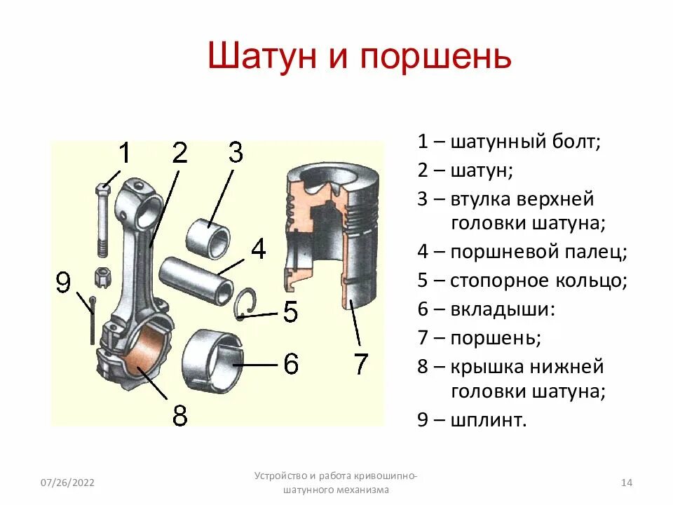 Цилиндр устройство назначение. Поршень дизельного двигателя схема. шатун двигателя устройство. кривошипно-шатунный механизм основные детали схема. кривошипно-шатунный механизм назначение поршня.