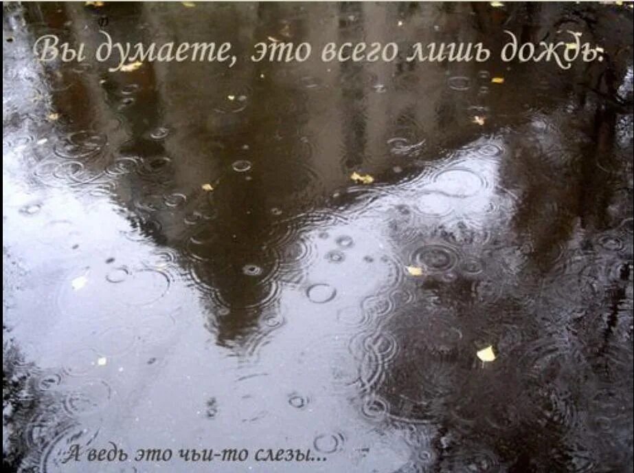 Почему бегут слезы. Слёзы в Дожде. Дожди: стихи. Стихи о Дожде красивые. Красивые слова про дождь.