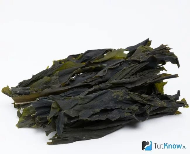 ламинария водоросли слоевища. ламинарии слоевища морская капуста 100г красногорсклексредства. ламинария водоросли слоевища. строение морской капусты ламинарии. ламинария (морская капуста) слоевища 50г красногорсклексредства оао.