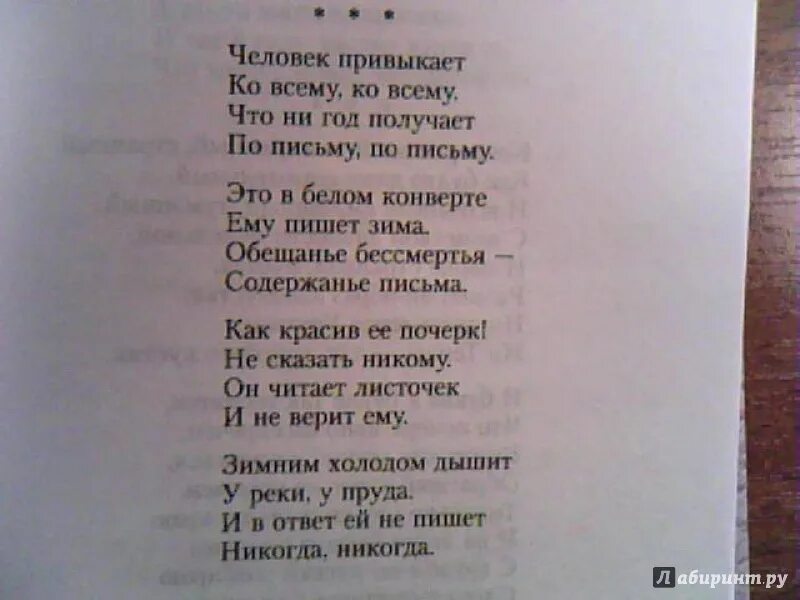 Слушать книгу времена не выбирают. Времена не выбирают Кушнер стих. Стихи не привыкайте к людям.