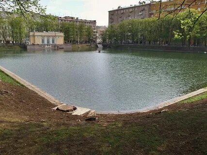 Коммерческих магазинов сейчас прудом пруди