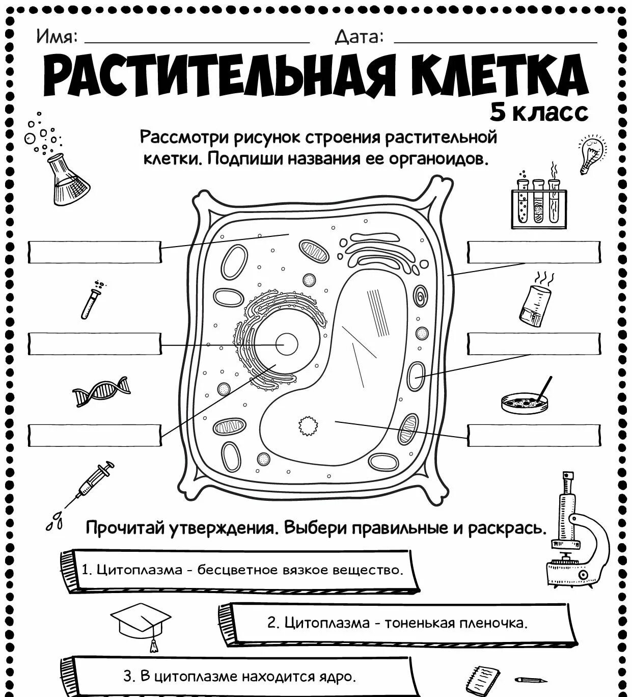 Рабочий лист биология 6 класс строение клетки. Растительная клетка 5 класс. строение клетки растения. строение клетки растения 5 класс. строение растительной клетки 5 класс.