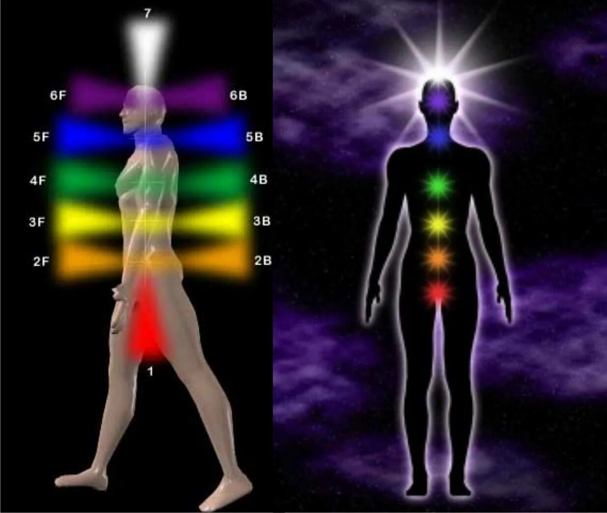 Расположение энергетических чакр. Энергетическая система человека и чакры. Чакры человека движение энергии. 7 Чакровая система. Потоки через тело