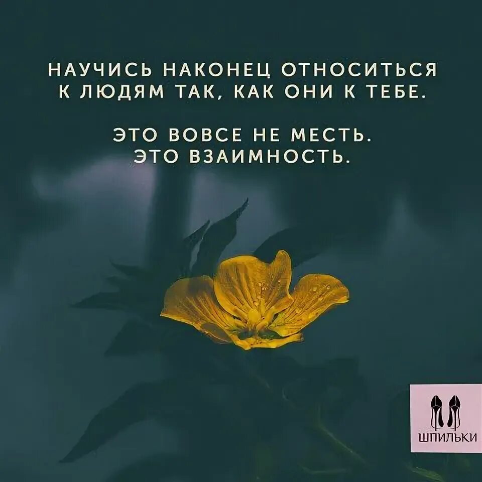 Научись наконец относиться к людям. Научитесь наконец относиться к людям так. Научилась относиться к лбдя. Относитесь к людям так как они.