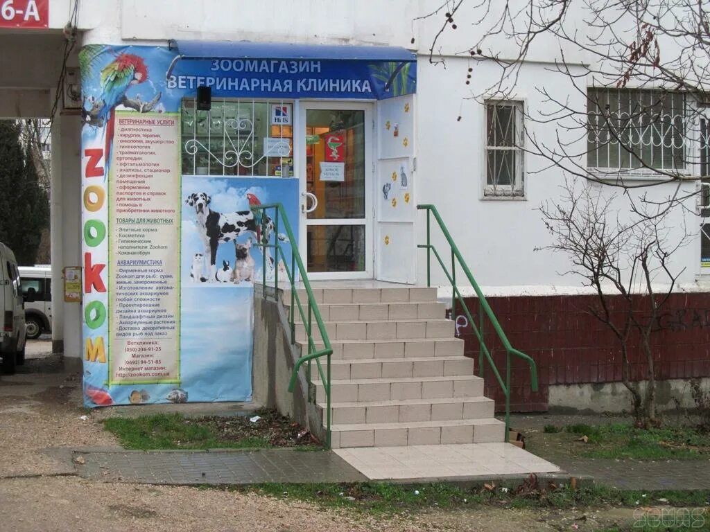 Белорусская 203 а ветклиника ростов на дону. Ветеринарка аршинцево керчь. Ветлечебница керчь. Ветеринарная клиника центр ростов. Ветклиника керчь аршинцево.