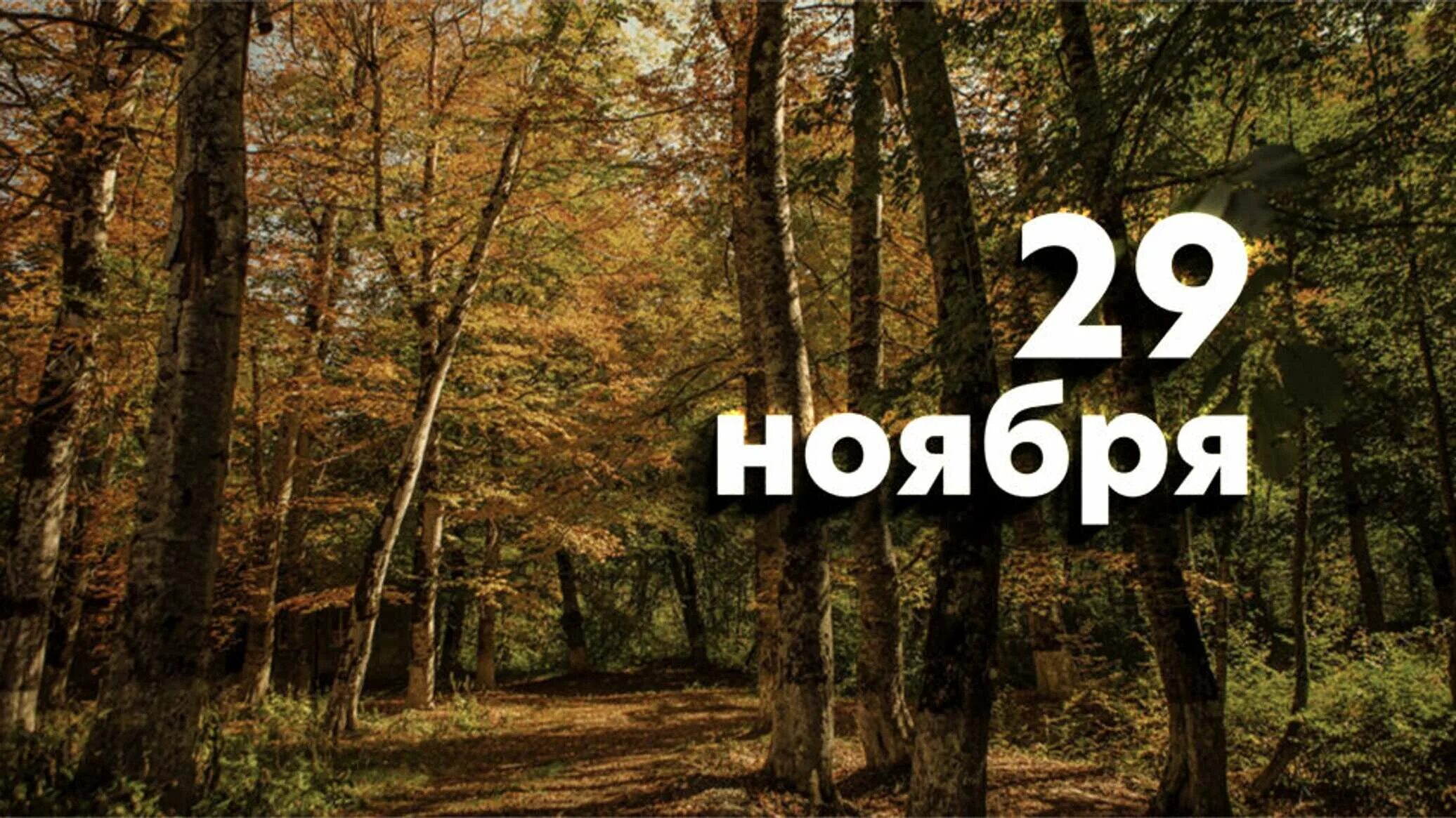 29 ноября 2019. 29 ноября праздник. Необычные праздники 29 ноября. 29 ноября 2019. 29 ноября народный день матвея.
