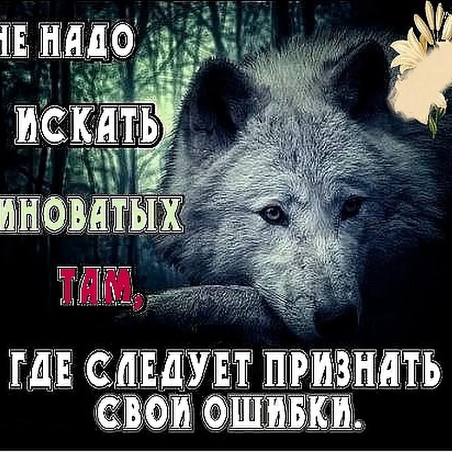 Мемы про женскую измену. Люди сами виноваты. Шутки про оленей. Никогда никого не судите. Люди всегда ищут виноватых.