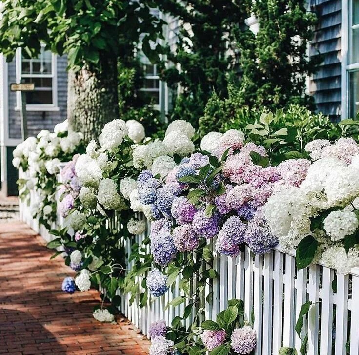 Pin on Homes // Interiors Flowers photography, Flower garden, Design darling