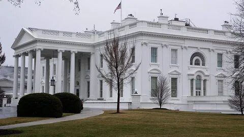 Белый цвет в сша
