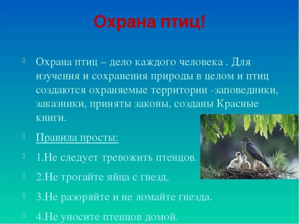 Охрана птиц. Охрана птиц презентация. Охрана птиц в природе. Презентация на тему охрана птиц.