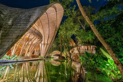Eco resort отзывы