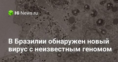 Какой появился новый вирус