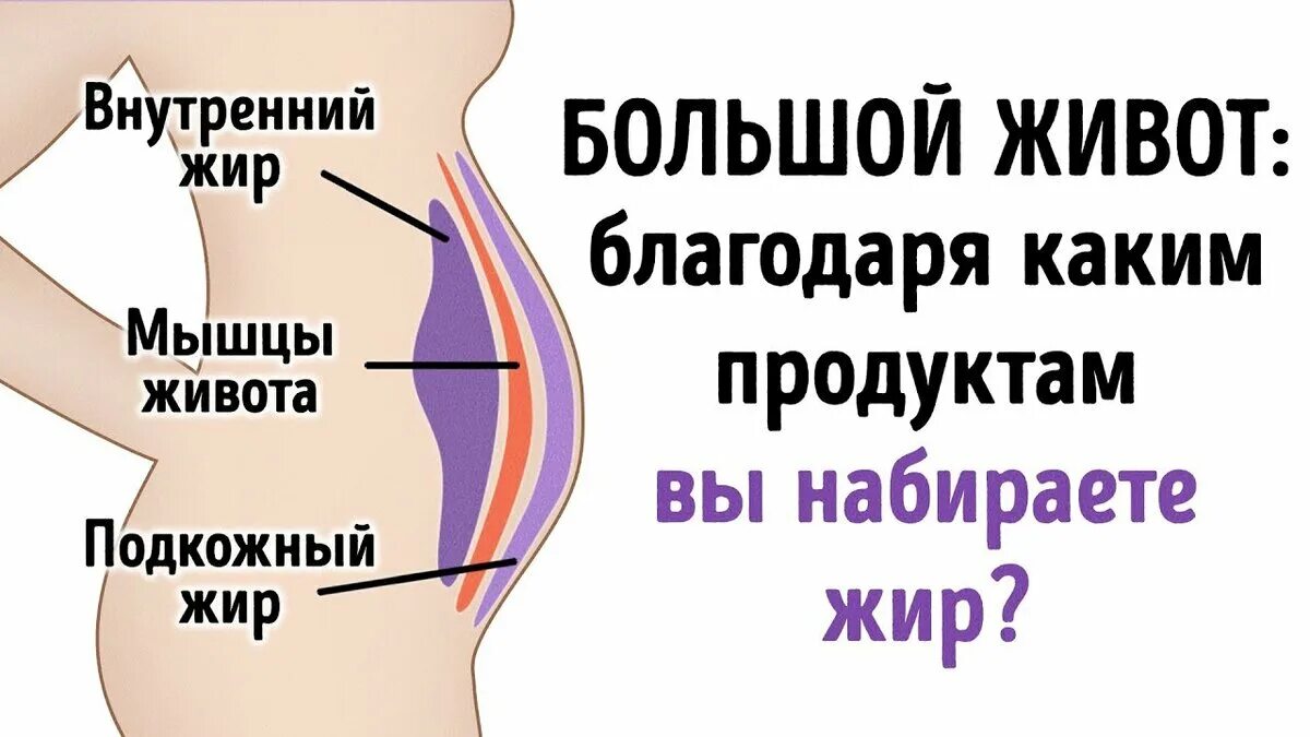 Расположение жира на животе женщины. Растет живот у мужчин после 40