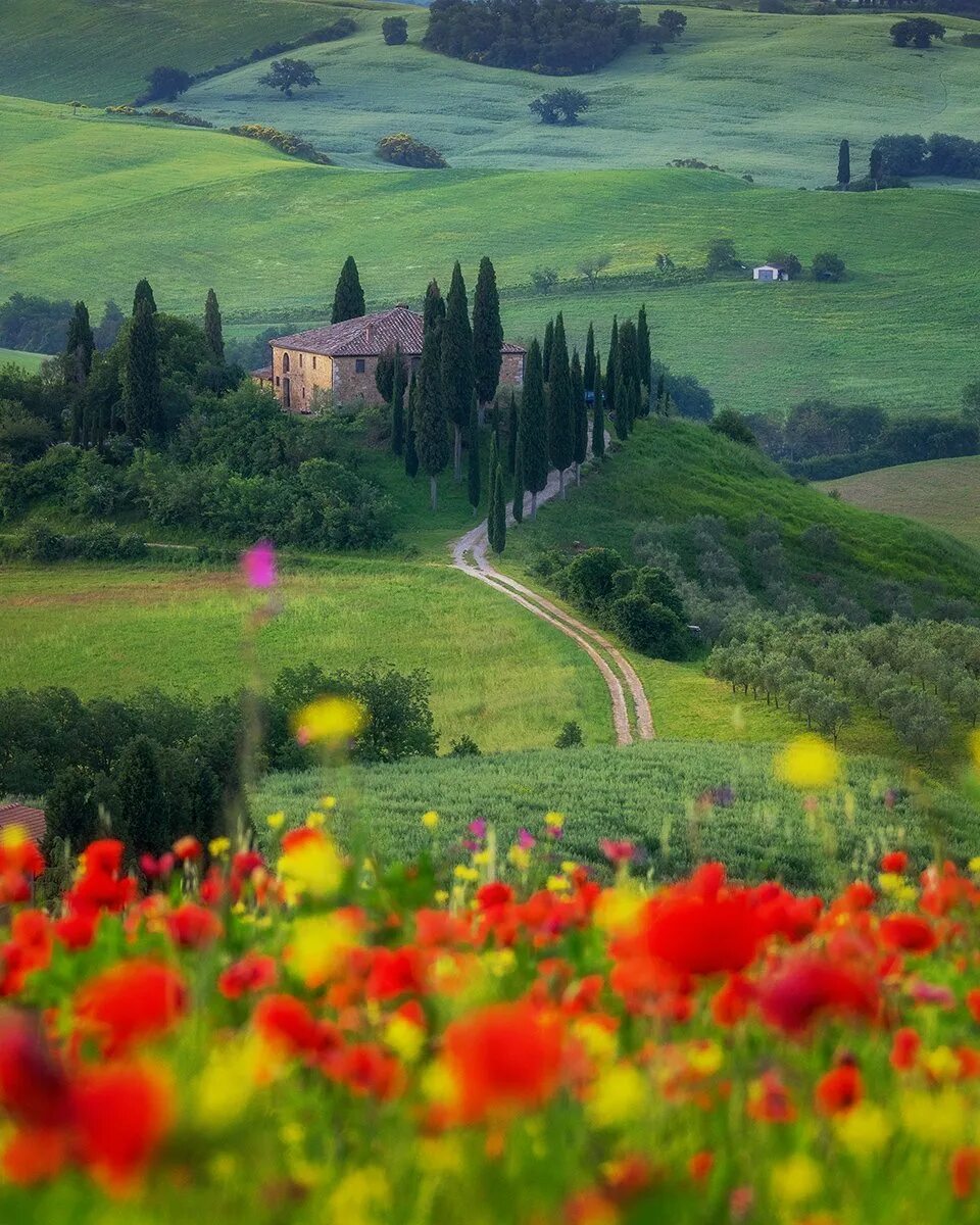 Тосканские холмы, италия. Тоскана италия. Тоскана италия. Италия провинция тоскана. Италия поля тосканы.