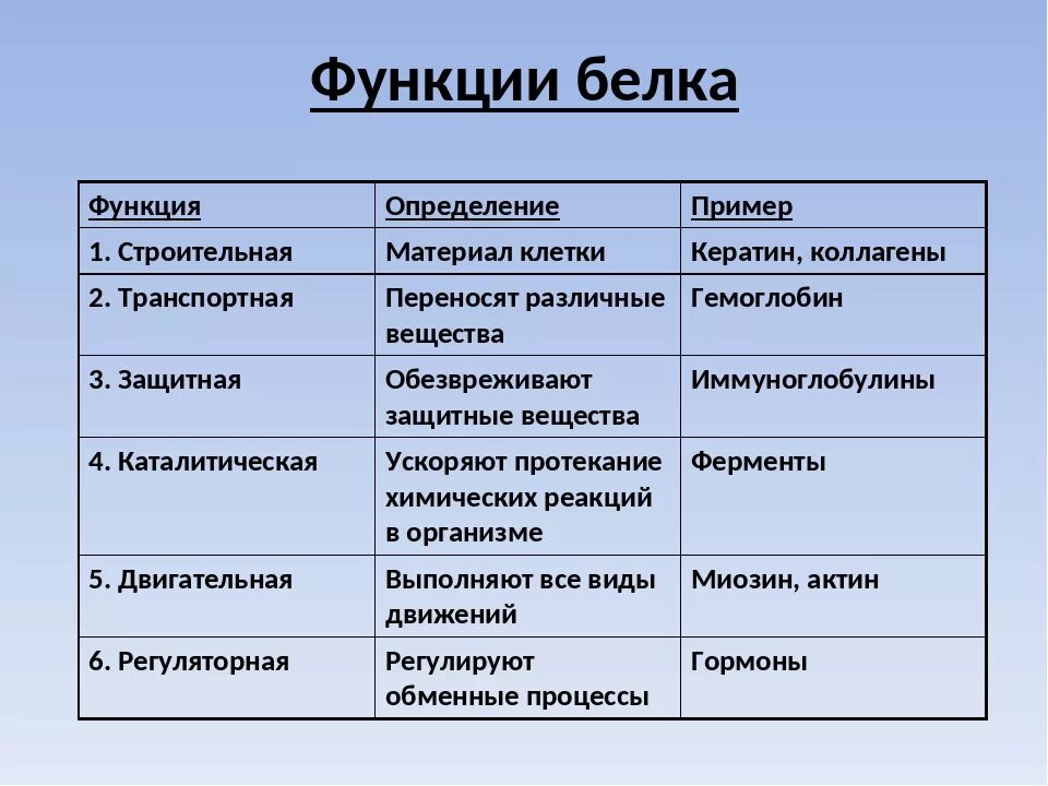 Название функций белка. Строительная функция белков. Функции белков строительная функция. Строительная функция белков примеры. Функции белка.